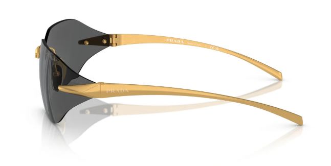Sunglasses Gold Rim - Dark Gray Lens