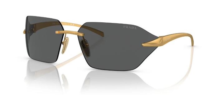 Sunglasses Gold Rim - Dark Gray Lens