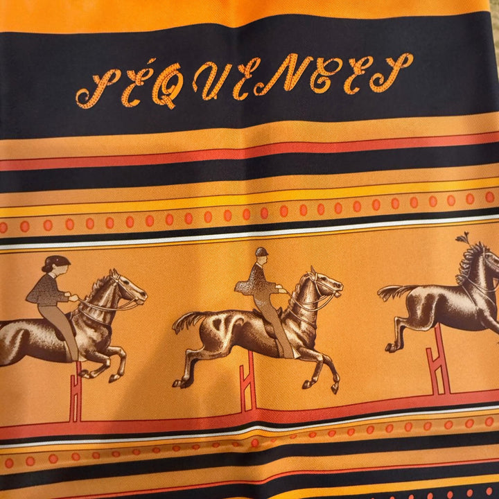 Sequences Silk Scarf
