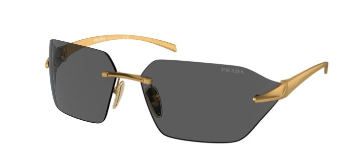 Sunglasses Gold Rim - Dark Gray Lens
